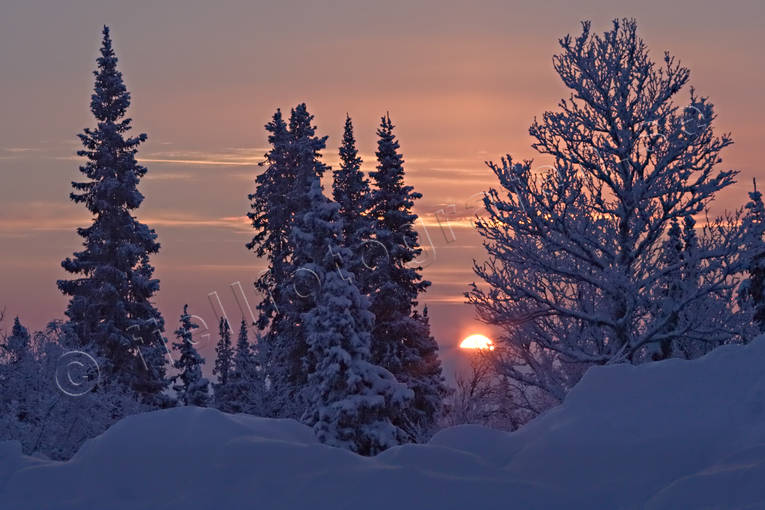 landscapes, Lapland, season, seasons, winter