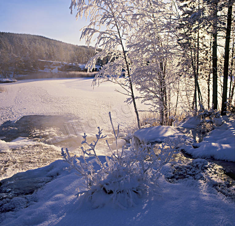 ambience, ambience pictures, atmosphere, christmas ambience, christmas card, early winter, Forsan, ice freeze-up, Jamtland, season, seasons, vatten, water, winter, winter ambience