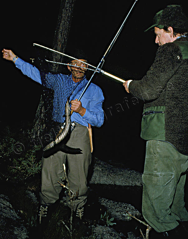angling, angling, eel, eel fishing, fishing, herrevad stream, night fishing, night fishing, lar, lmete