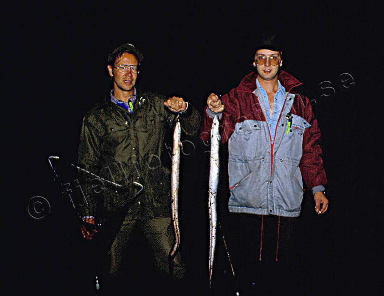 angling, angling, eel, eel fishing, fishing, herrevad stream, night fishing, night fishing, lar, lmete