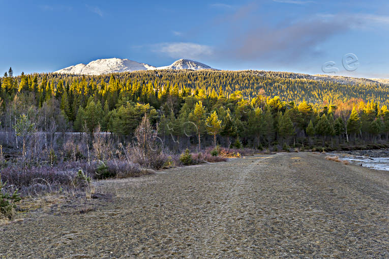 Areskutan, autumn, beach, fresh snow, Jamtland, landscapes, mountain, mountain top, sand, woodland