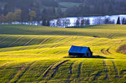 agriculture community, autumn, backlight, barn, cultivations, Duved, evening, fields, green, green, Indal river, Jamtland, landscapes