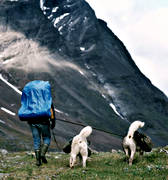 alpine hiking, Andra nyckelord, back-packer, dog, dogs, greenland dog, klövja, klövjning, landscapes, Lapland, mountain, mountains, nature, outdoor life, sommarfjäll, summer, wild-life, äventyr