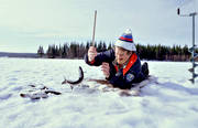 angling, fishing, fishing, ice fishing, ice fishing, ice fishing, jig, dap, spring ice, whitefish, winter fishing