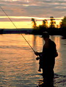 angler, angling, Edforsen, fishing, flyfishing, sports event, sunrise, trout