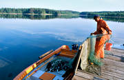 baltic herring, boat, clean, clear, fishing, fishing, fishing, fishing net, net, sköt, work