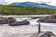 anglers, anglers, angling, fishing, flyfishing, Pite river