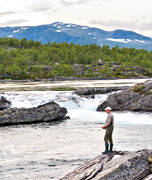 anglers, anglers, angling, fishing, flyfishing, Pite river