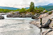 anglers, anglers, angling, fishing, flyfishing, Pite river, trills