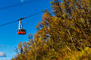 autumn, autumn colours, autumn leaves, birch, cableway, Jamtland, landscapes