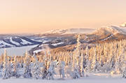 Are valley, cold, forest land, Jamtland, landscapes, mountain, mullfjallet, nature, winter