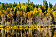 autumn, autumn colours, autumn leaves, Indal river, Jamtland, landscapes, lvtrd, seasons, spegelbild, watercourse, woodland