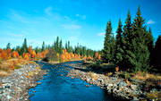 autumn, autumn colours, Fuan, Jamtland, landscapes, watercourse