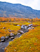 autumn, autumn color, autumn colours, autumn picture, creek, grass, Great Lakes waterfalls, national park, Nieras, Partnetjkk, plants, herbs, yellow