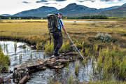 alpine, alpine hiking, alpine precipice, autumn, autumn colours, back-packer, back-packing, bog soil, creek, getryggen, Jamtland, landscapes, marshes, mires, quags, mire, mountain, mountain top, mountains, nature, outdoor life, season, seasons, Snasa Mountains, Storsflon, tvaraklumpen, wild-life