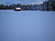 ambience, ambience pictures, atmosphere, barn, christmas ambience, christmas card, field, field, Jamtland, landscapes, snow, winter