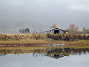 Ammarnas, autumn, barn, fog, grey day, hay barn, landscapes, Lapland, myrsltter