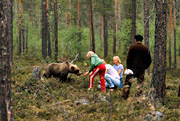 animals, bear, brown bear, children, fearless, fed, feed, feeds, mammals, predators, teddy bear, ursine