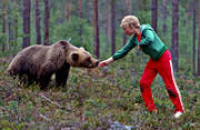 animals, bear, brown bear, children, fearless, fed, feed, feeds, mammals, predators, teddy bear, ursine