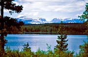 Bear lake, Herjedalen, landscapes, Lill-Lunndrren, Lunndorrsfjallen, mountain, mountain forest, summer