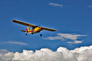 aeroplane, aviation, Bellanca, blue sky, Citabria, cloud, communications, fly, general aviation, propeller, single-engien, sports flights