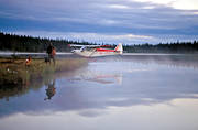 aeroplane, barking bird dog, barking bird dog, bird hunter, bird hunting, fly, hunter, hunting, landscapes, Lapland, seaplane, seaplane, wasteland, wilderness, ga*