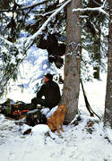 barking bird dog, barking bird dog, barking bird dogs, bird hunting, capercaillie hunt, coffe break, finnish spitz, hunting, paus, winter hunt, ga*