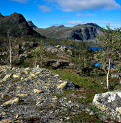 alpine birch, Borkafjallet, Dikanas, landscapes, Lapland, mountain, summer