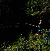 angling, angling, fishing, forest creek, summer