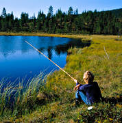 angling, angling, boy, fishing, forest tarn, summer