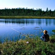 angling, angling, boy, fishing, fishing, fishing rod, to angle, Vall lake