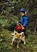 barking bird dog, barking bird dog, bend in time, bird hunter, bird hunting, boy, dog, finnish spitz, finnish spitz, game, hunting, hunting success, hunting joy, leksaksbssa, puppy, puppy, young, youth, ga*