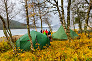 autumn, camping, outdoor life, tent, tenting, ventyr
