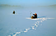 angling, char, char fishing, fishing, fishing through ice, ice fishing, ice fishing, Salmon lake, winter, winter fishing