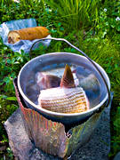 angling, camping stove, cooking, cooks, fishing, friluftskk, gas stove, gasoline stoves, grayling, kokas, kokt, reel fishing, spirit stove