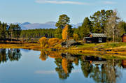 autumn, autumn colours, Jamtland, landscapes, season, seasons, torsborg