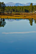 autumn, autumn colours, Jamtland, landscapes, season, seasons, torsborg