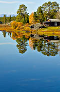 autumn, autumn colours, Jamtland, landscapes, season, seasons, torsborg