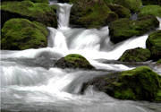 ambience, ambience pictures, autumn, creek, green, nature, running, stream, vatten, water, water fall, woodland