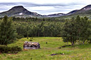 alpine, alpine landscape, alpine precipice, barn, buildings, Dalsvallen, engineering projects, hay barn, Jamtland, landscapes, mountain, mountain precipices, mountain scene, mountain top, mountains, nature, old, Snasa Mountains, Snasen, summer, summer cottage, summer farm pasture, timber barn, torvtak, tvaraklumpen