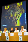 animals, debatt, mammals, paneldebatt, predators, rovdjursdebatt, service, utfrgning, vargdebatt, vargfrgan, wolf, wolves, work