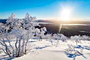 backlight, downy birches, frosty, frosty, hoarfrost, Jamtland, januarisol, landscapes, mountain, Ottsjn, rime ice, sun, vlliste, winter, winter mountains, winter sun