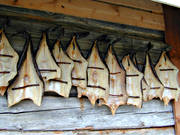 dried, drying, fish, fishing, fishing, pike, torkaad fisk, work