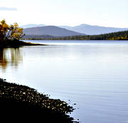 autumn, Jamtland, lake, landscapes, Middagsvalen, mountain, water lake, woodland