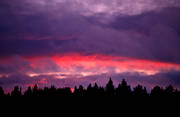 celestial phenomen, cloud, drama, dramatics, evening, evening light, forest land, light, nature, sky, woodland