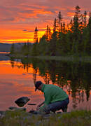 angling, angling, evening, fish cleaning, fishing, flyfishing, Leaf lake, mountain forest, mountain lake, peaceful, red, red, rensa fisk, rd himmel, sky, sunset, woodland