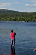 angling, fishing, Pite river, reel, reel fishing, spin fishing, spinning, wilderness