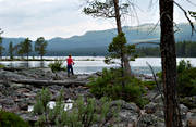 fishing, landscapes, Lapland, Pite river, river, Skuppe, spin fishing, summer, tourist fishing, wilderness