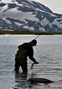 angling, char fishing, fishing, landscapes, Lapland, mountain, mountain fishing, mountain lake, Padjelanta, reel, spin fishing