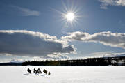 angling, char, fish, fishing, fisketvling, Gev lake, ice fishing, jig, dap, lakes, nature, trout